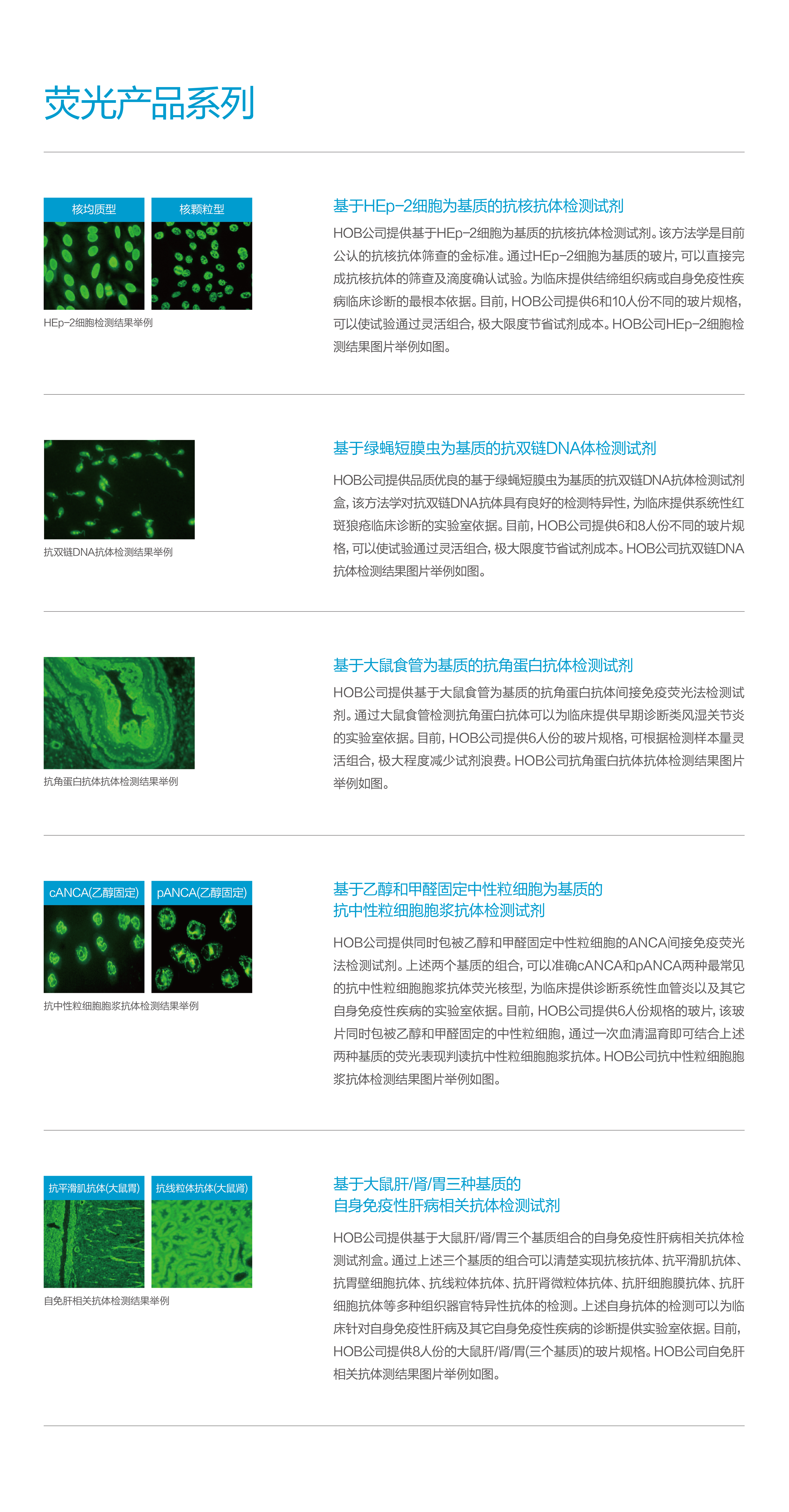 NG娱乐-官网产品中心-荧光产品系列.jpg